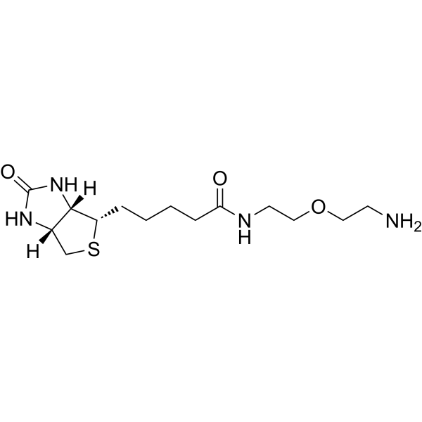Biotin-PEG1-NH2 811442-85-0